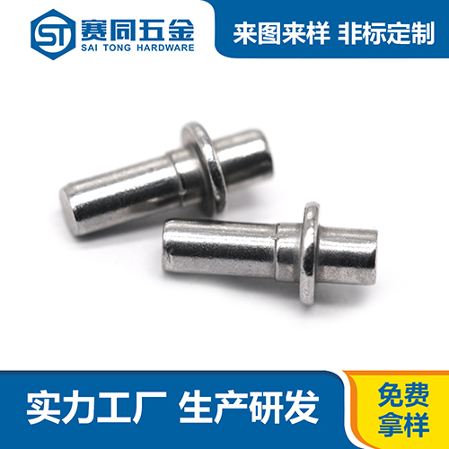 不銹鋼異形實心鉚釘